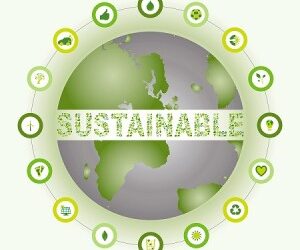 What is Sustainability?