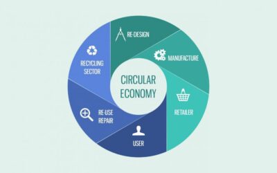 Is recycle the right word?