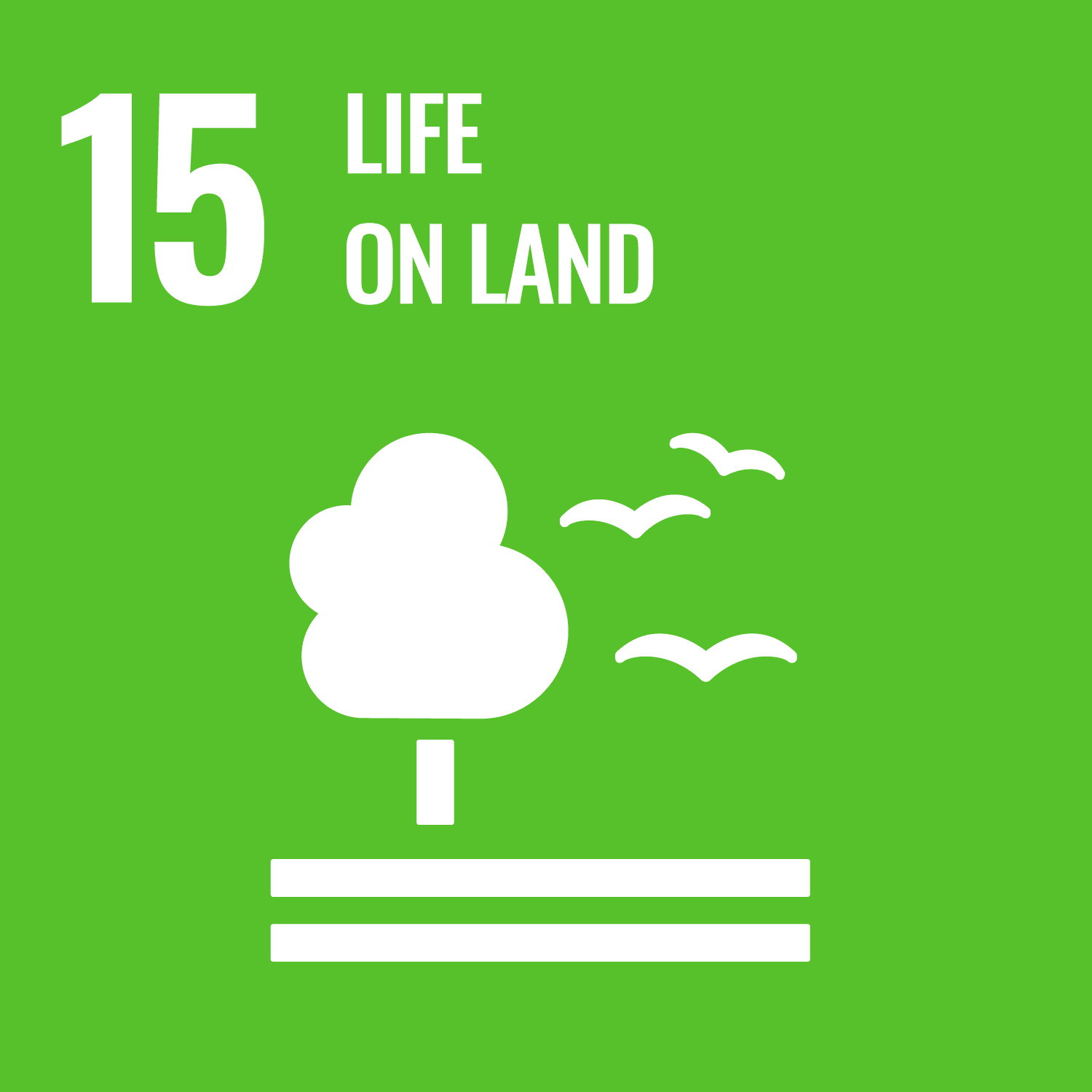 Life on Land Goal