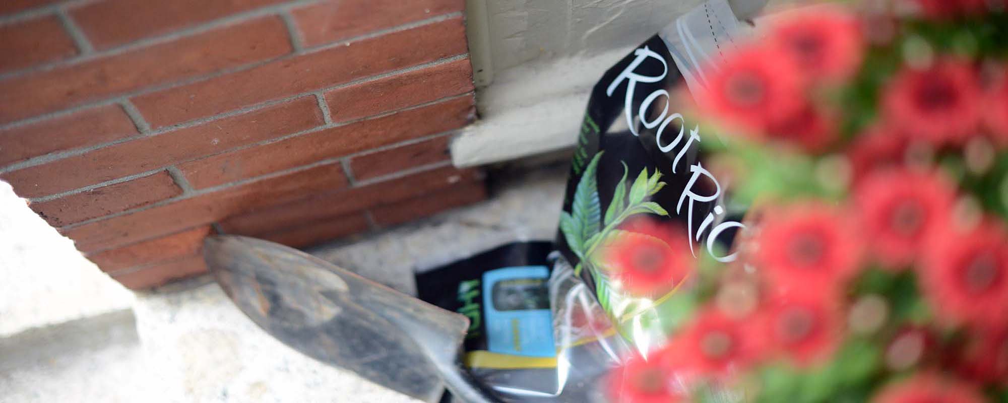 soil bag