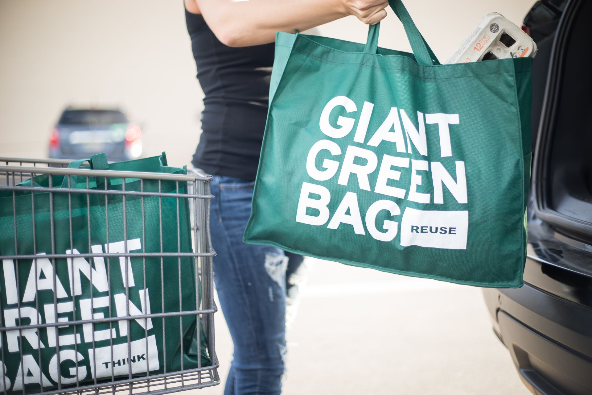 Giant Green Bag