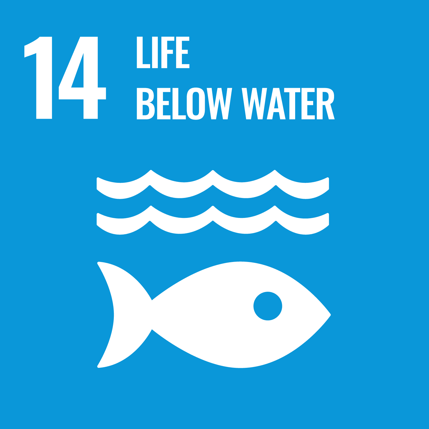Life Below Water Goal